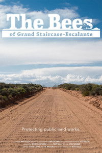 The Bees of Grand Staircase-Escalante