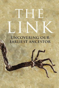 Uncovering Our Earliest Ancestor: The Link