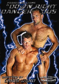 Down Right Dangerous