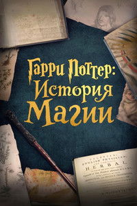 Гарри Поттер: История магии
