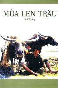 Mùa len trâu