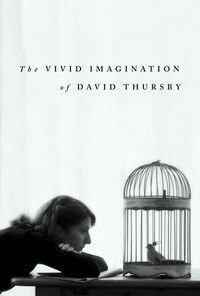The Vivid Imagination of David Thursby