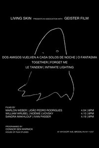 Dos amigos regresan a casa solos de noche