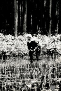 The Japanese Part 3: Farm Song