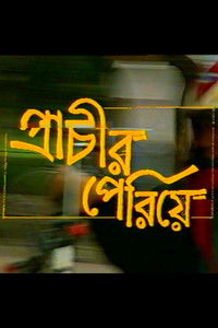 প্রাচীর পেরিয়ে