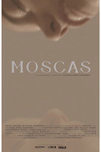 Moscas