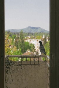 Kateri dan sploh je?