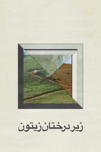 Сквозь оливы