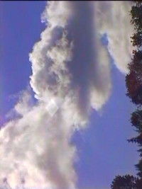 Spring (The Laundry Lesson)