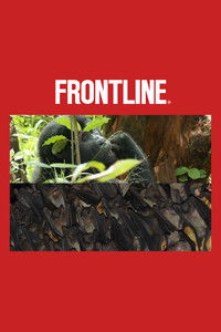 Uganda: Out of the Wild