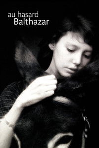 Наудачу, Бальтазар