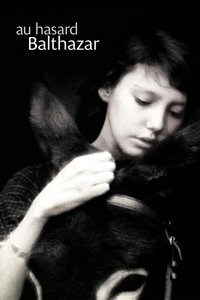 Наудачу, Бальтазар