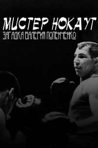 Мистер Нокаут. Загадка Валерия Попенченко