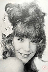 Pamela Des Barres