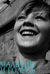 Мальчик и голубь