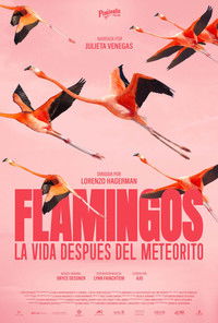 Flamingos: La vida después del meteorito