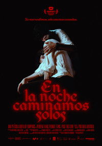 En la noche caminamos solos
