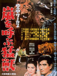 空中サーカス　嵐を呼ぶ猛獣