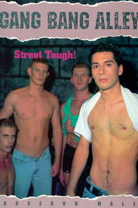 Gang Bang Alley