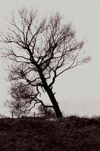 Разрушенный берег