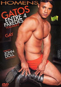 Gatos Entre 4 Paredes 2