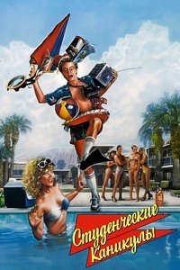 Студенческие каникулы