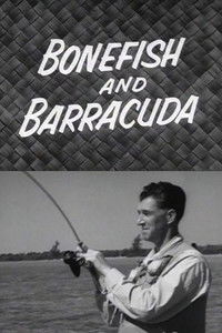 Bonefish and Barracuda