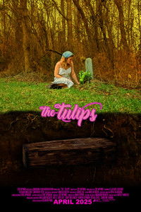 The Tulips