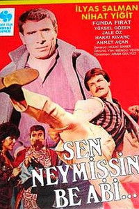 Sen Neymişsin Be Abi